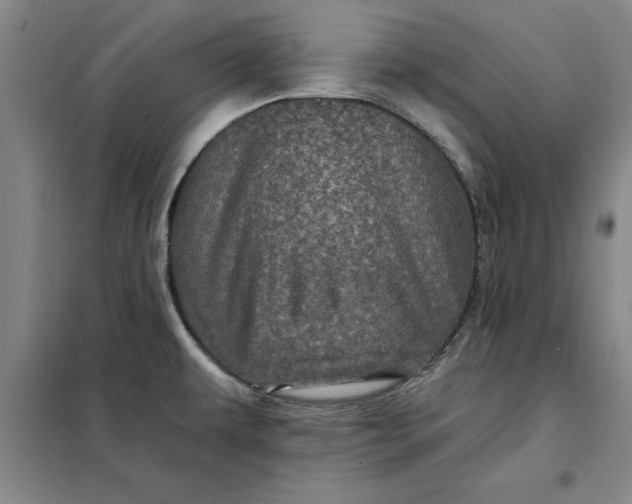 X0000098151479200805011356