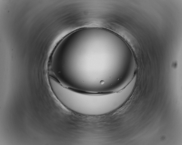 X0000098151480200805011356