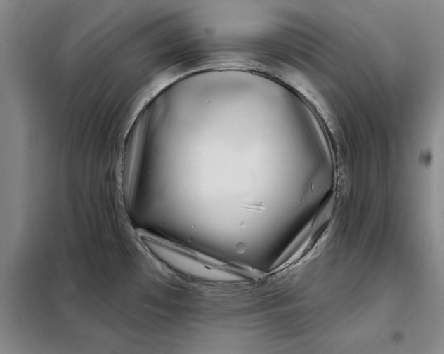 X0000098151481200805011356