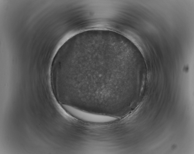 X0000098151482200805011356