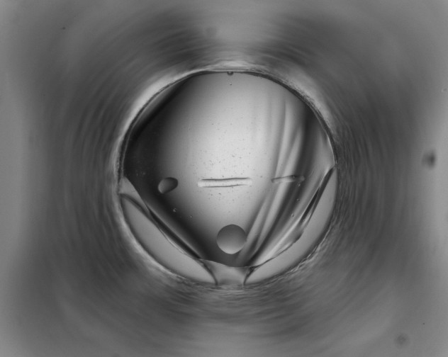 X0000098151483200805011356