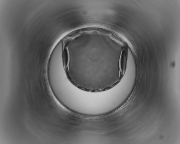 X0000098151484200805011356