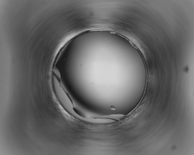 X0000098151485200805011356