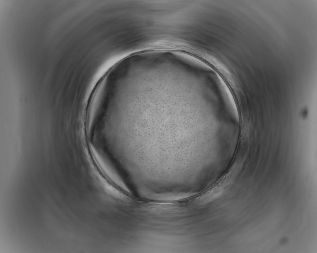 X0000098151486200805011356