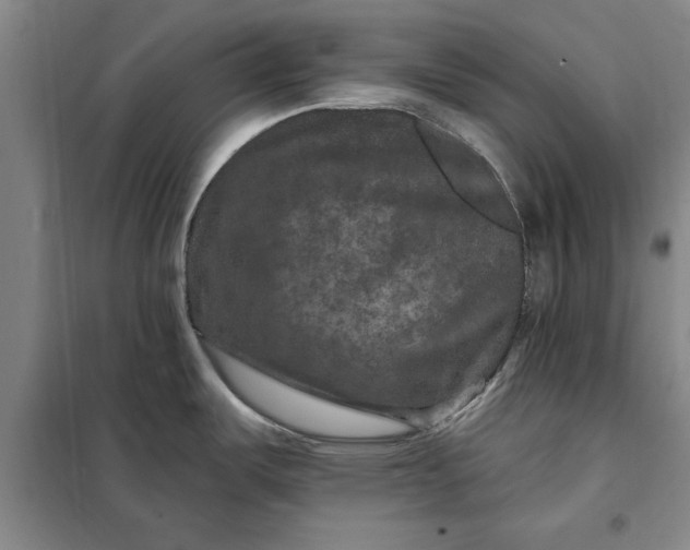X0000098151487200805011356