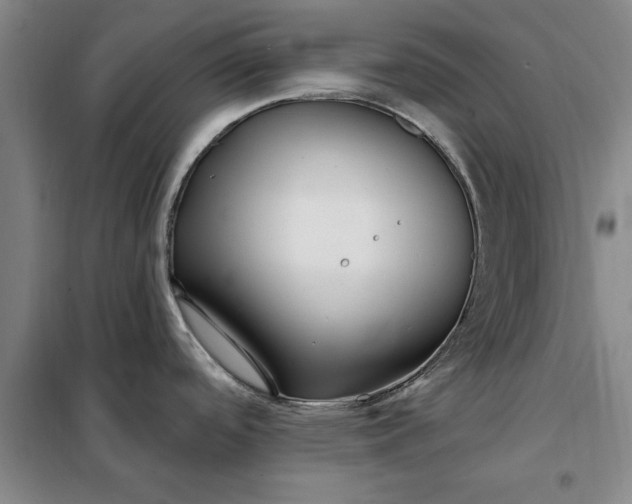 X0000098151488200805011356