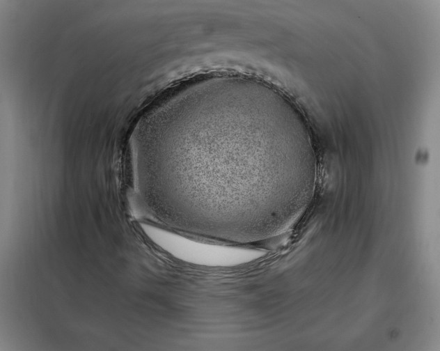 X0000098151490200805011355