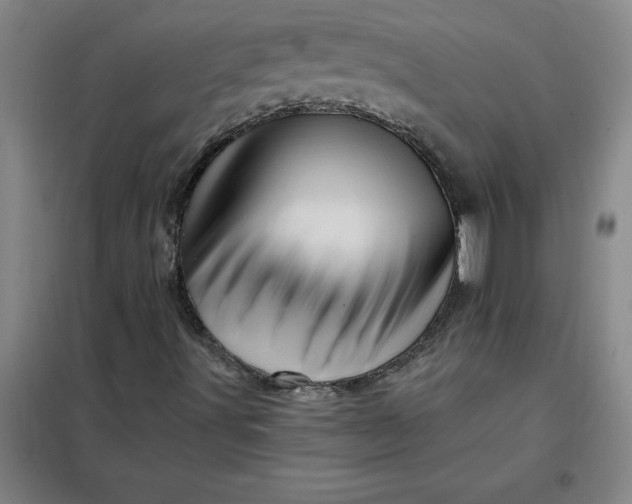X0000098151491200805011355