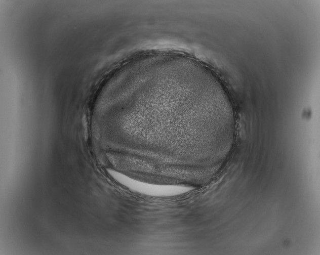 X0000098151493200805011355