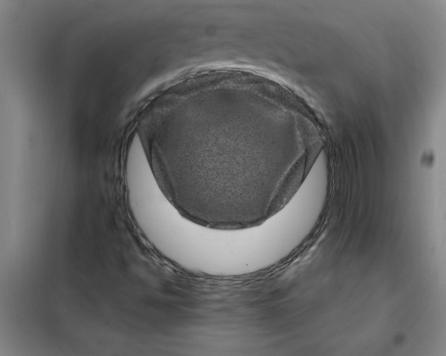 X0000098151494200805011355