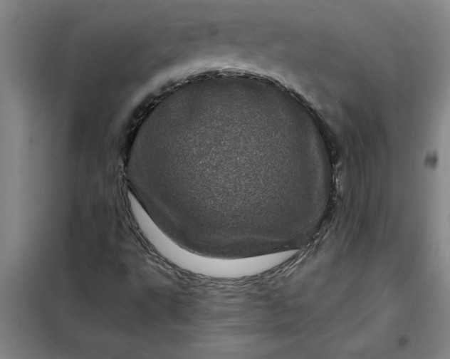 X0000098151495200805011355