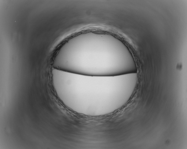 X0000098151496200805011355