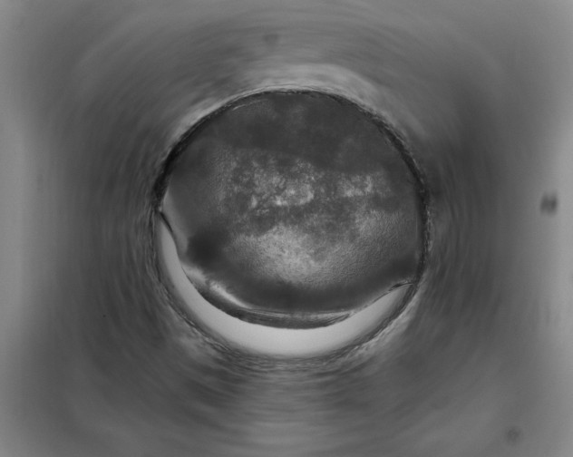 X0000098151497200805011355
