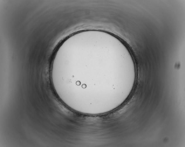 X0000098151498200805011355