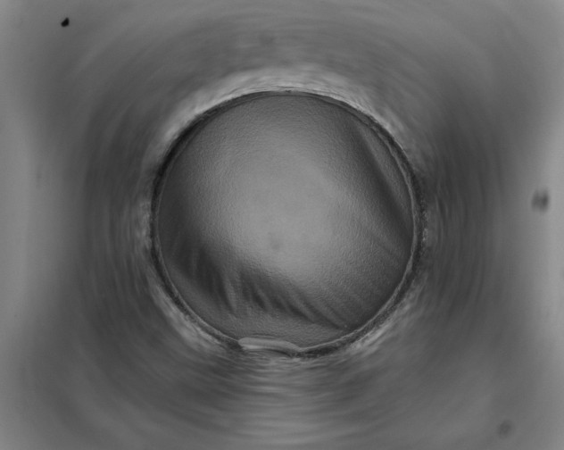 X0000098151499200805011355