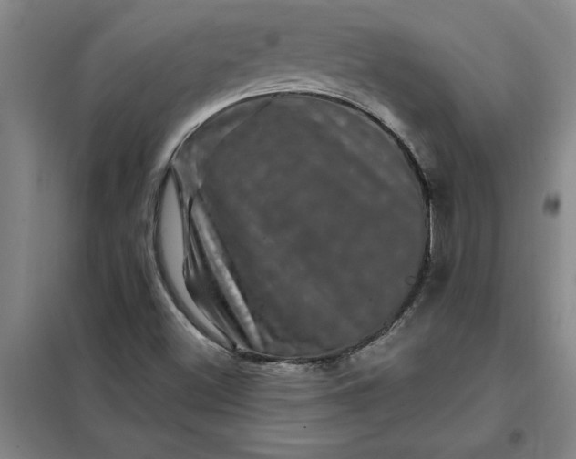 X0000098151500200805011355