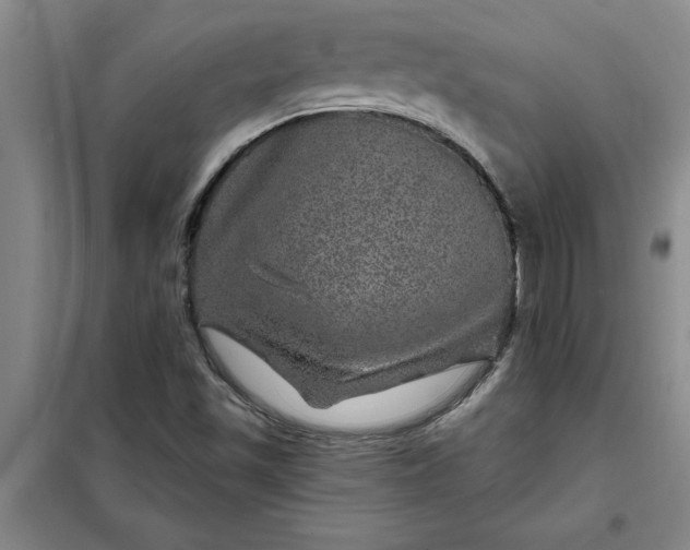 X0000098151501200805011355