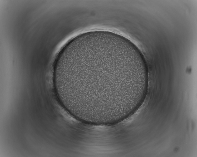 X0000098151502200805011355