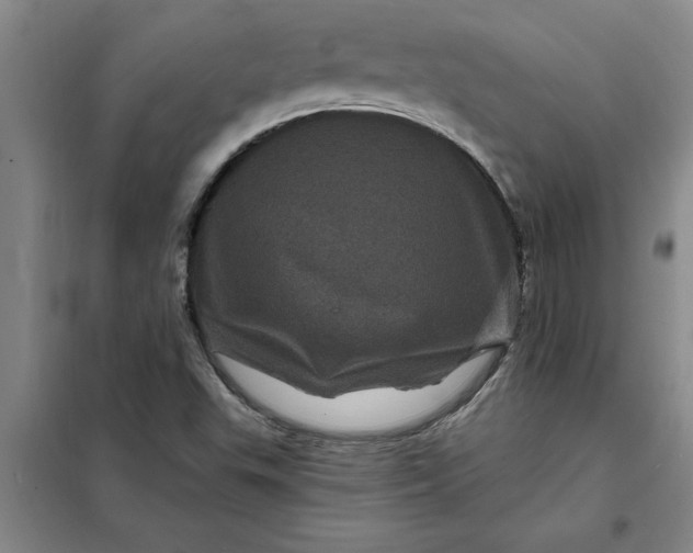 X0000098151503200805011355