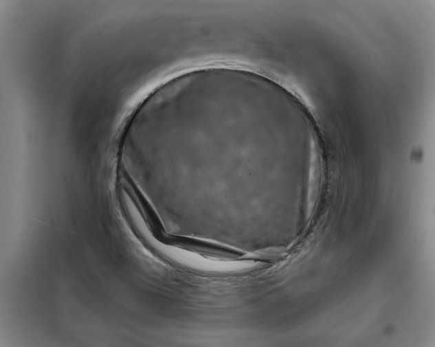 X0000098151504200805011355