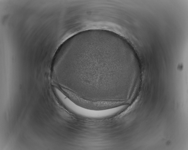 X0000098151505200805011355