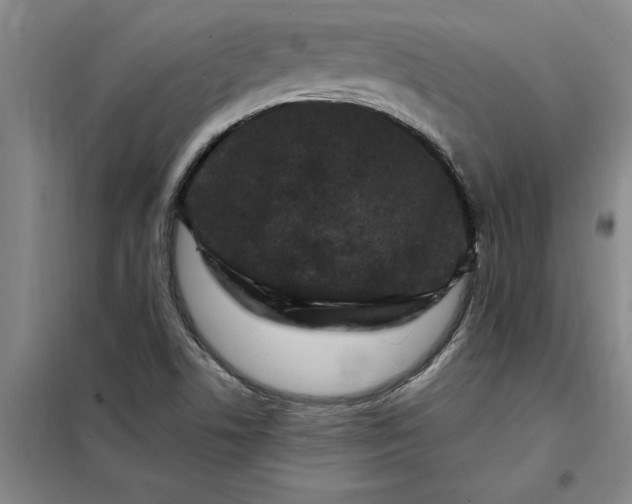 X0000098151506200805011355