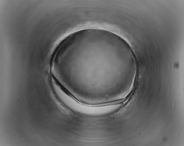 X0000098151507200805011355