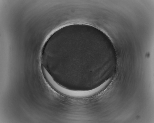 X0000098151508200805011355