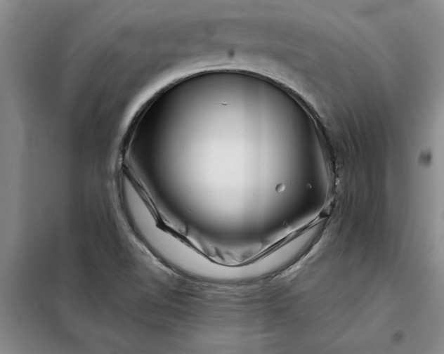 X0000098151510200805011355