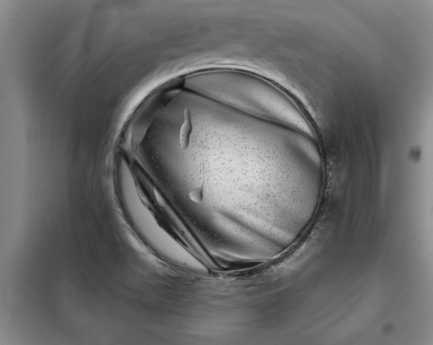 X0000098151511200805011355
