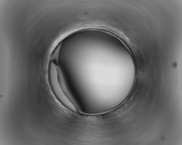 X0000098151512200805011355