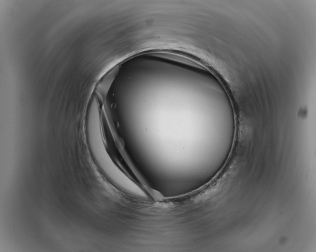 X0000098151513200805011356