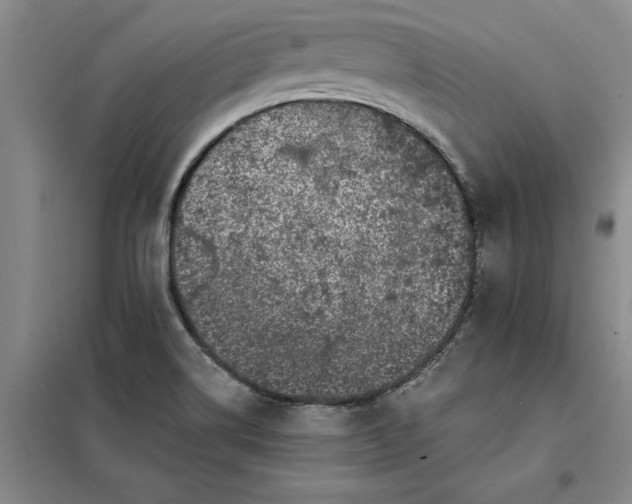 X0000098151514200805011356