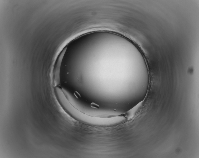 X0000098151516200805011356