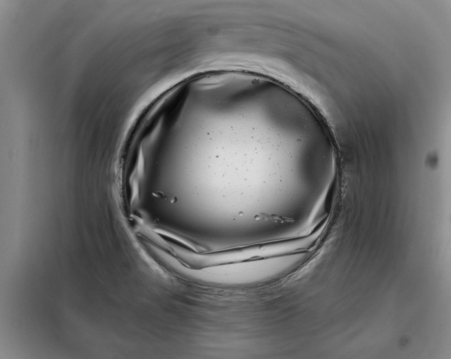X0000098151517200805011356