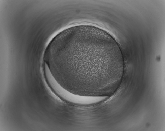 X0000098151518200805011356