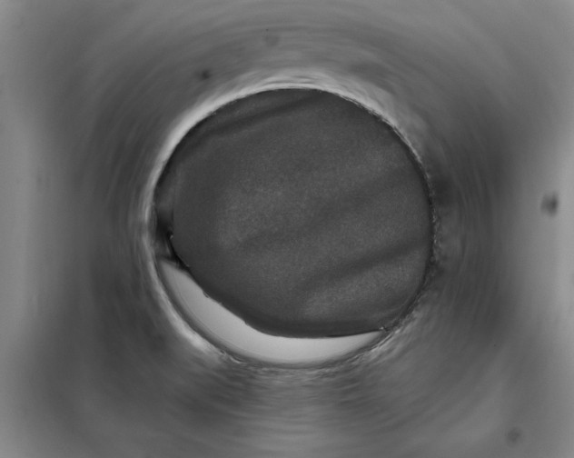 X0000098151519200805011356