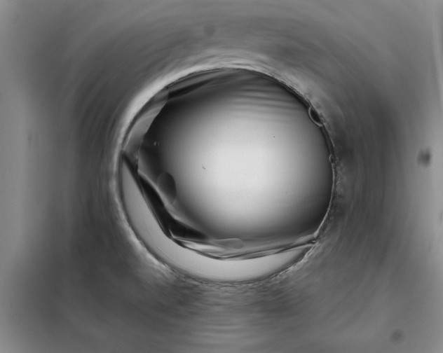 X0000098151520200805011356