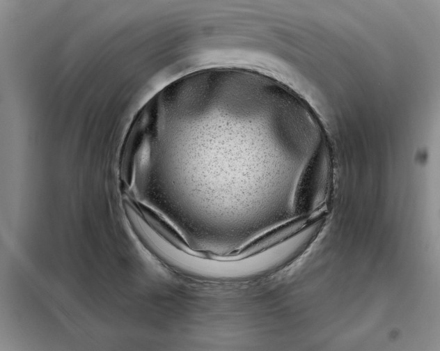 X0000098151521200805011356