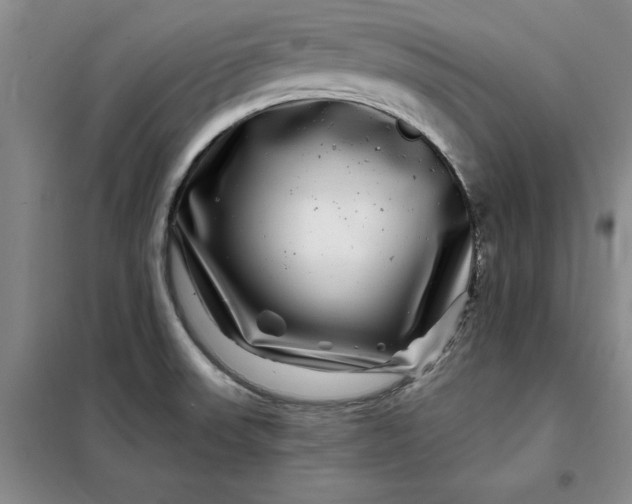 X0000098151523200805011356