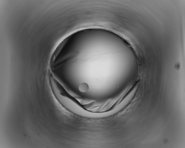 X0000098151524200805011356