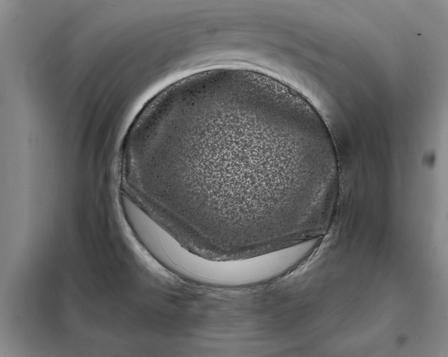 X0000098151526200805011356