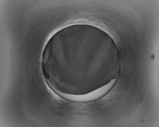 X0000098151527200805011356
