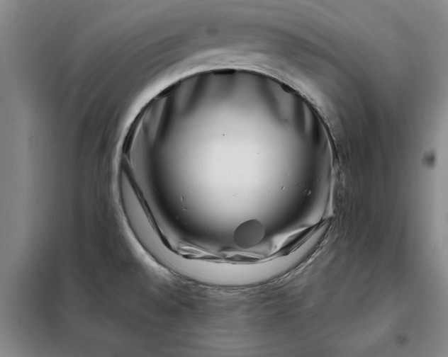 X0000098151528200805011356