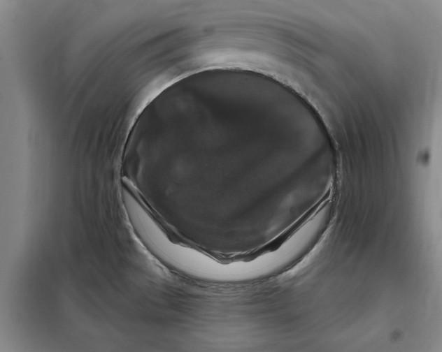 X0000098151529200805011356