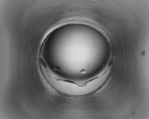 X0000098151530200805011356