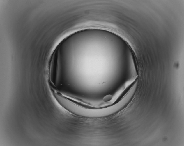 X0000098151531200805011356