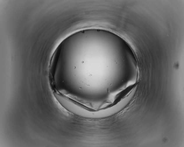 X0000098151532200805011356
