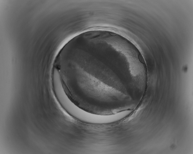 X0000098151533200805011356