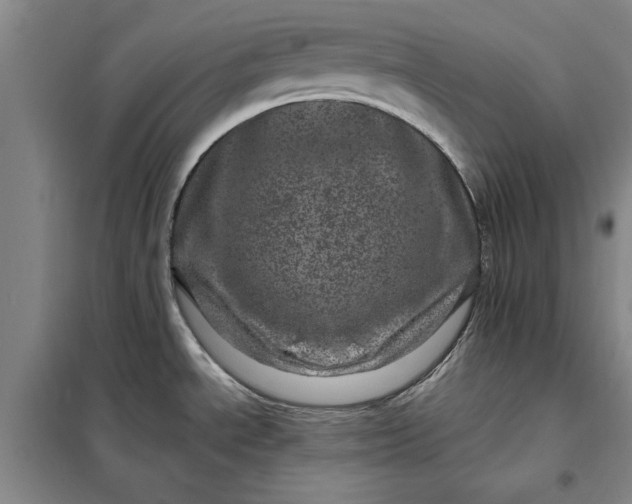 X0000098151534200805011356